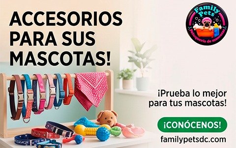 Venta de Accesorios