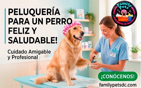 Corte y Estilismo Canino